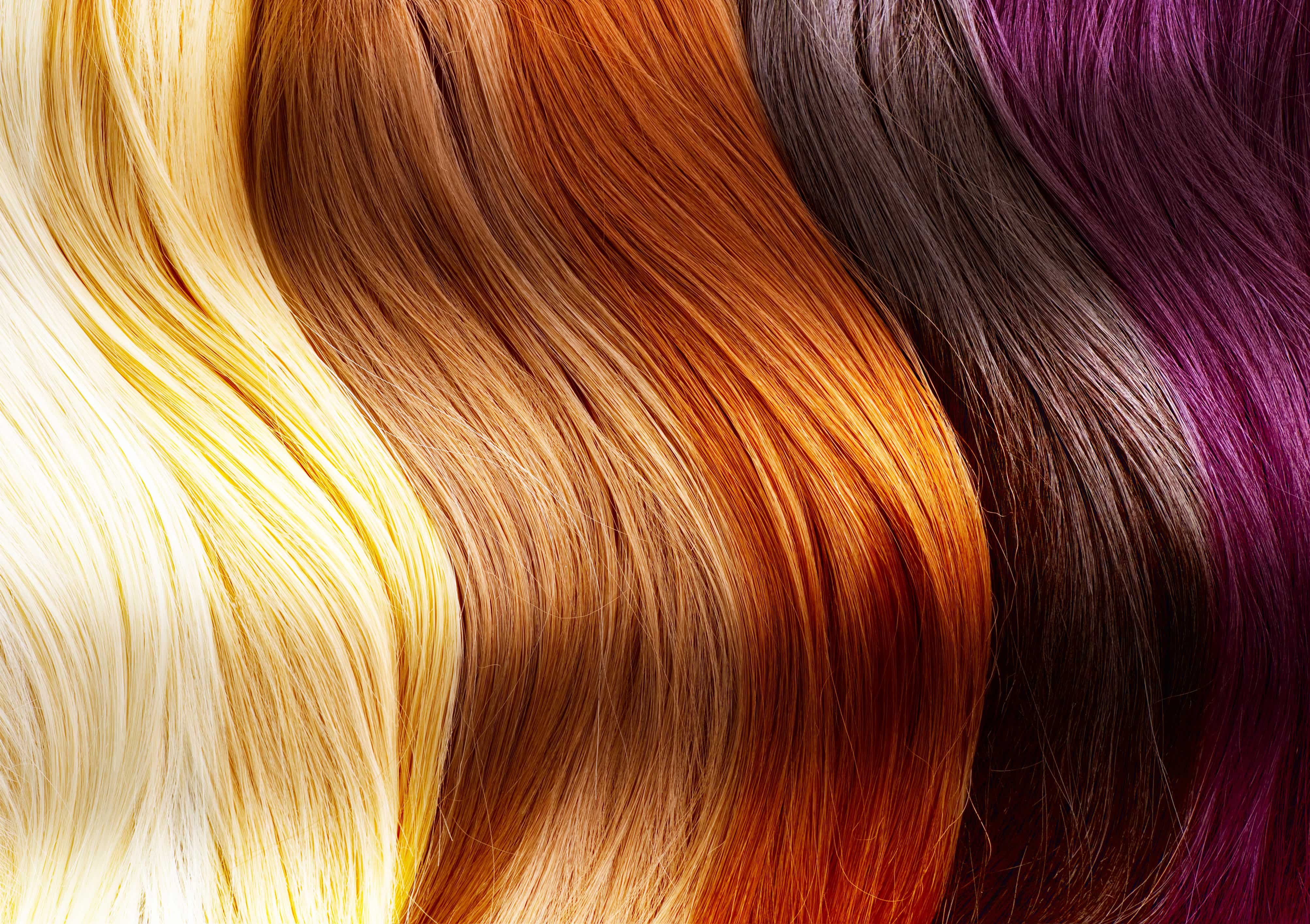 multi-colored hair locks
