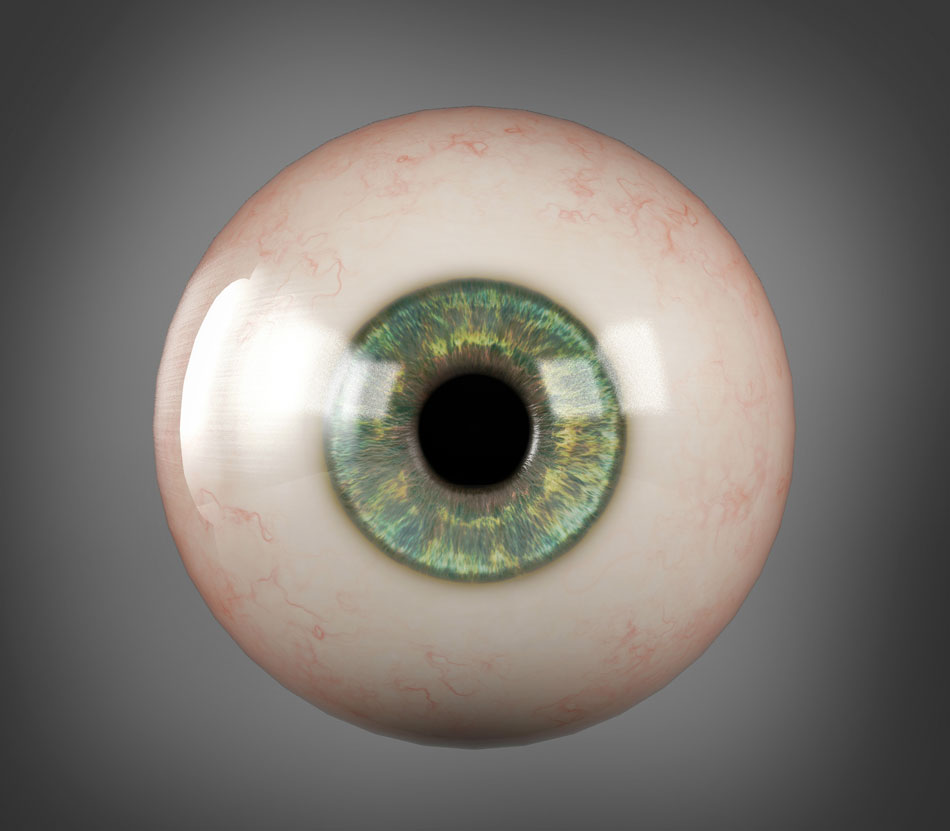 Realistic human eyeball