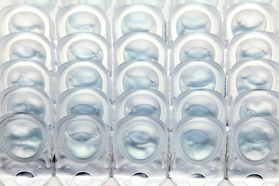 rows of disposable contact lenses in blister packs