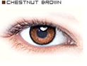 CHESTNUT BROWN